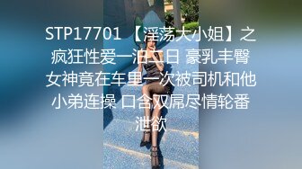 STP17701 【淫荡大小姐】之疯狂性爱一泊二日 豪乳丰臀女神竟在车里一次被司机和他小弟连操 口含双屌尽情轮番泄欲