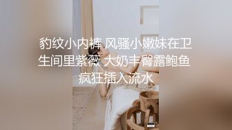 豹纹小内裤 风骚小嫩妹在卫生间里紫薇 大奶丰臀露鲍鱼 疯狂插入流水