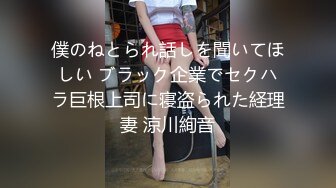 僕のねとられ話しを聞いてほしい ブラック企業でセクハラ巨根上司に寝盗られた経理妻 涼川絢音