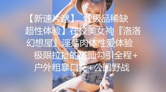 公子哥約砲極品馬尾妹完結篇