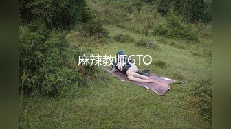 麻辣教师GTO