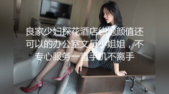 (no_sex)20231204_美丽的女秘书_351599509