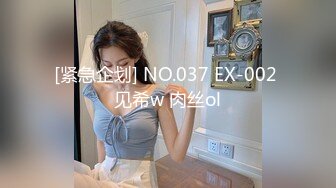 [紧急企划] NO.037 EX-002 见希w 肉丝ol