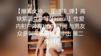 【爆乳女神❤️重磅核_弹】高铁紫薇女神『Naomii』性爱内射户外露出VIP订阅 与男友众多刺激场所性爱中出 第二季 (4)