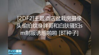 [2DF2]主题酒店盆栽房摄像头偷拍纹身胖哥和白肤骚妇sm制服诱惑啪啪 [BT种子]