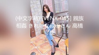 (中文字幕) [VENX-085] 親族相姦 きれいな叔母さん 高橋りほ