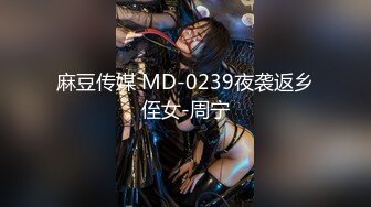 麻豆传媒 MD-0239夜袭返乡侄女-周宁