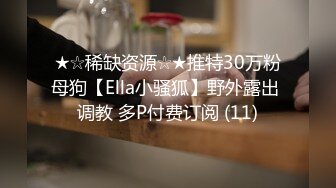 ★☆稀缺资源☆★推特30万粉母狗【Ella小骚狐】野外露出 调教 多P付费订阅 (11)