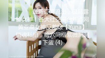 新来的女仆（2）