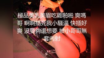 一只小阿狸，火辣性感好身材，满身纹身的风骚女镜头前展示，披肩长发揉奶摸逼，撅着屁股发骚，精彩不要错过