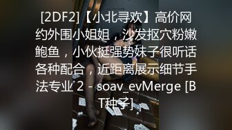 SWAG 认识我 约我出来实战怎样!粉丝约会篇 莉奈酱