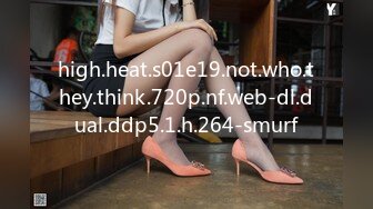 high.heat.s01e19.not.who.they.think.720p.nf.web-dl.dual.ddp5.1.h.264-smurf