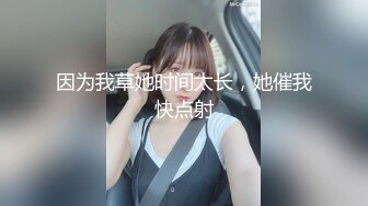 【国产版】[XK-8177]桐桐 风骚一夜情孤女与司机的激情一夜 星空无限传媒