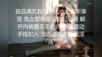 极品美乳粉穴声优小允视听享受 兔女郎情趣装翘起屁股 解开内裤露无毛粉穴 跳蛋震动手指扣入 淫语骚话不断很淫荡