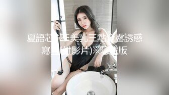 夏語芯32E美乳三點全露誘惑寫真(付影片)※隱藏版