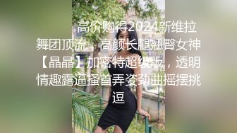 ⚫️⚫️高价购得2024新维拉舞团顶流，高颜长腿翘臀女神【晶晶】加密特超级版，透明情趣露逼搔首弄姿劲曲摇摆挑逗