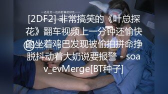 [2DF2] 非常搞笑的《叶总探花》翻车视频上一分钟还愉快的坐着鸡巴发现被偷拍拼命挣脱抖动着大奶说要报警 - soav_evMerge[BT种子]