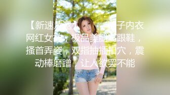 【新速片遞】❤️❤️链子内衣网红女神，极品美腿高跟鞋，搔首弄姿，双指抽插扣穴，震动棒磨蹭，让人欲罢不能