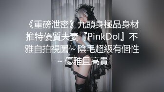 《重磅泄密》九頭身極品身材推特優質夫妻『PinkDol』不雅自拍視圖～陰毛超級有個性～優雅且高貴