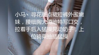 搭车的女同事续集