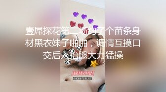 壹屌探花第二场约了个苗条身材黑衣妹子啪啪，调情互摸口交后入抬腿大力猛操