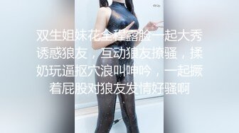 私房厕拍大神晓月潜入餐厅女厕偷拍??圆臀女 口罩小美女