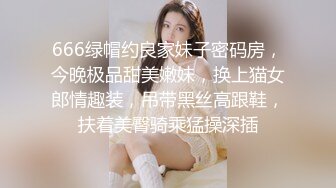 骚老婆（互换视频）