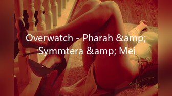 Overwatch - Pharah &amp; Symmtera &amp; Mei