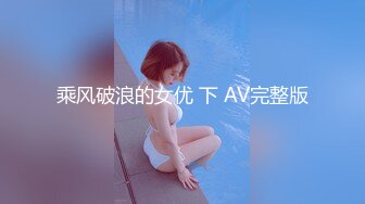 乘风破浪的女优 下 AV完整版