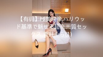 【有码】極美映像,ハリウッド基準で魅せる超高画質セックス,蒼井そら(1)