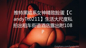 推特黑暗系女神精致脸蛋【CandyTt0211】生活大尺度私拍出租车街道酒店露出附108P