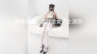 麻豆传媒MDX-0237-6空姐私下的需求-蜜苏