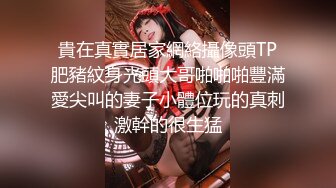 36E巨乳女仆甜美酒窝小姐姐，两个大奶子甩在外面，顶级肥臀粉穴