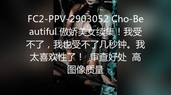 FC2-PPV-2903052 Cho-Beautiful 傲娇美女续集！我受不了，我也受不了几秒钟。我太喜欢性了！  审查好处  高图像质量